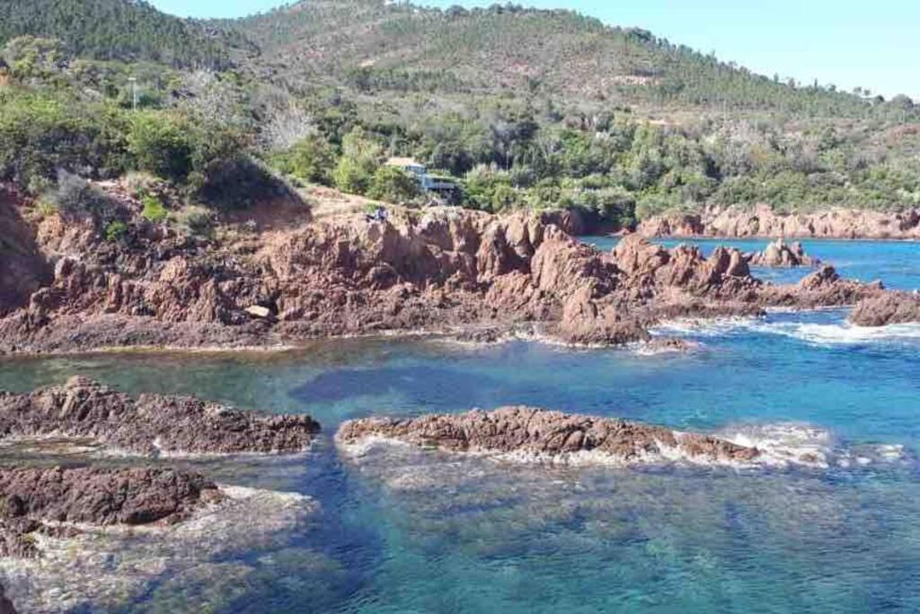 Appartement Piscine Terasse Gym Sauna Balneo Sainte-Maxime Esterno foto